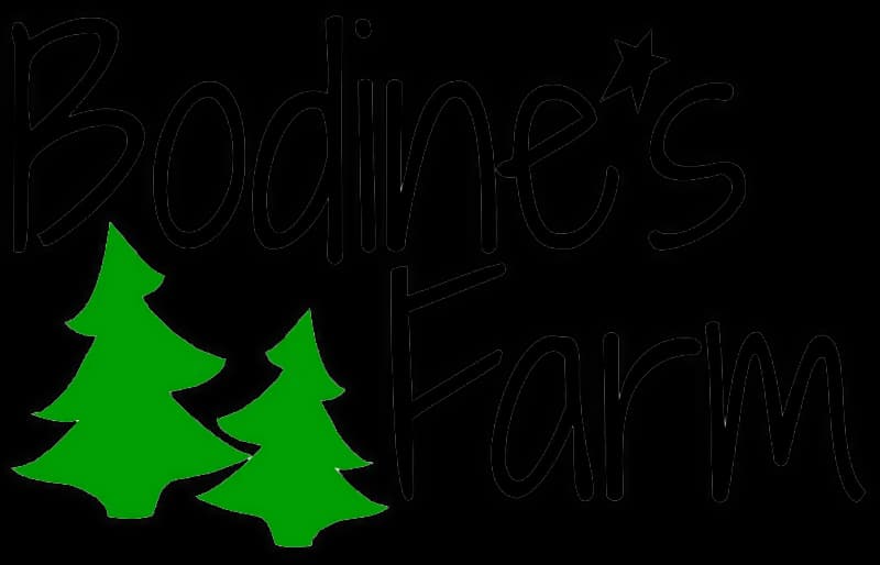 Bodine's Christmas Tree Farm